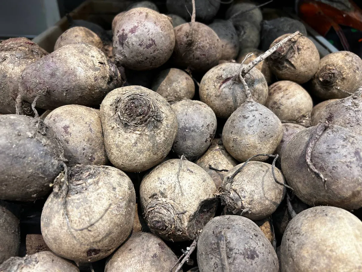 Свеклу готовлю всего за 10 минут — варка в кастрюле в прошлом: нежная, сладкая, готова на салат, борщ или запеканку