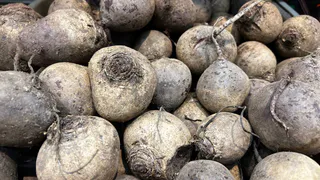 Не варю свеклу вечность - хватает 15 минут: есть один лайфхак - получается вкуснее и без запаха на весь дом