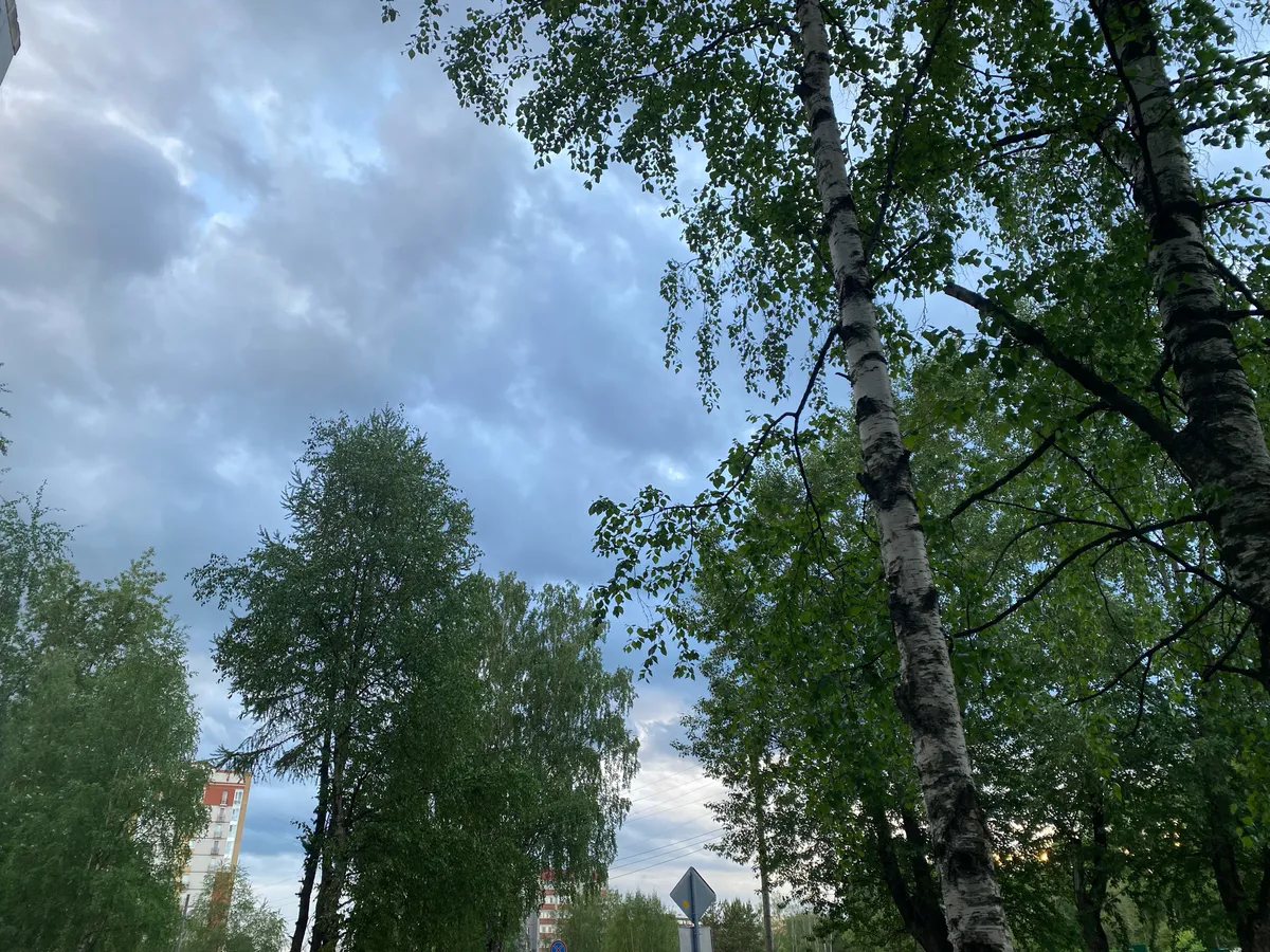 Грозовые фронты принесут 2 июля в Челябинскую область дожди и порывистый ветер