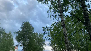 Грозовые фронты принесут 2 июля в Челябинскую область дожди и порывистый ветер