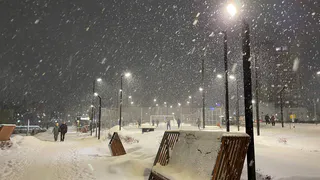 Такой весны на нашем веку еще не было: синоптики установили точные даты прихода аномальной жары