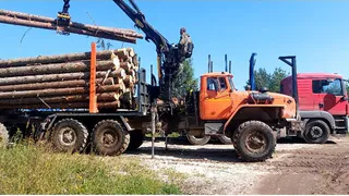 Из Владимирской области в Курскую отправлено 120 кубометров лесоматериалов
