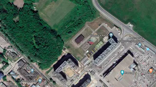 "Я за деревья!" - ситуацию с лесопарком прокомментировал Путин