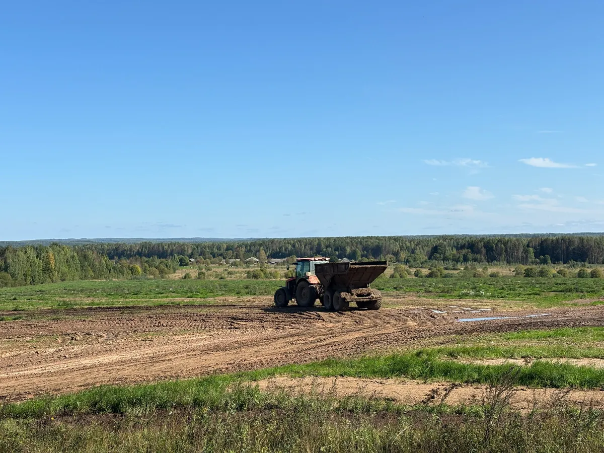 Татарстанским аграриям предстоит убрать еще 146 тысяч гектаров технических культур