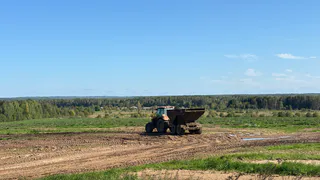 Татарстанским аграриям предстоит убрать еще 146 тысяч гектаров технических культур