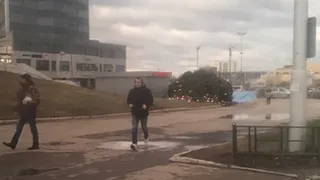 Возле "Барса" на Московском рухнула елка - дерево не выдержало ветра