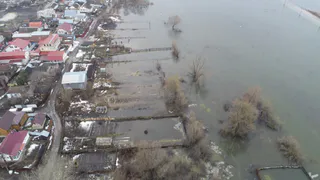 Число подтопленных разливом Оки участков в рязанских Борках составило 48