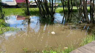 Новые горизонты безопасности: как Коми решает проблему пожарных водоёмов