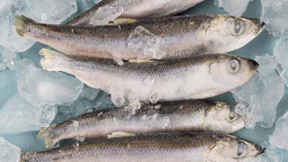 Рыба, которую вообще нельзя есть: а мы едим еще и детям даем - в ней живут паразиты