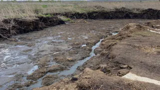 В Юрьев-Польском районе будут судить замдиректора предприятия за загрязнение реки Бакава