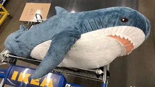 Рязанцам продают акулу из IKEA за 200 тыс. рублей
