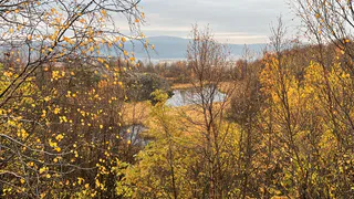 В Коми 23 октября ожидается переменная облачность и небольшие осадки