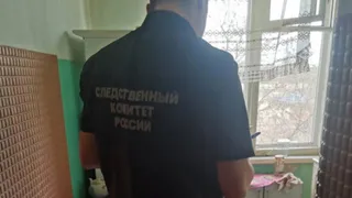 В Рязанской области женщина расправилась одним ударом