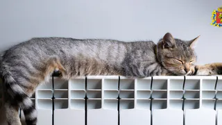 Ждать ли владимирцам окончания отопительного сезона в ближайшие дни?