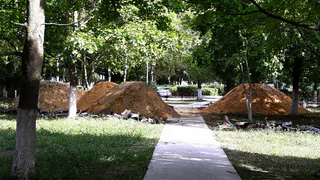 Тендер: в Гусе-Железном обустроят парк