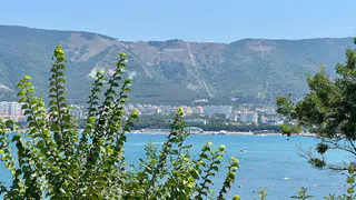 МегаФон обнулит трафик на сайт аэропорта Геленджика