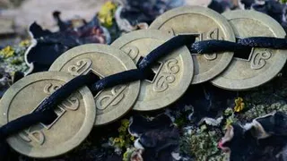 Названы три знака зодиака, которые получат шанс изменить свою судьбу уже в ближайшие дни