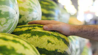 Надо ли стучать по корке? Как выбрать хороший арбуз