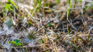 Усинск встречает апрельское утро морозцем и ярким солнцем