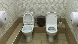 В Рязанском кремле запечатлели туалет для «раскрепощенных»