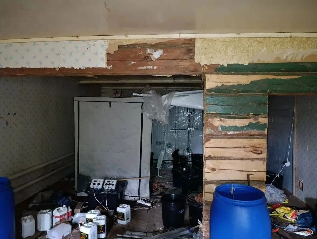 В Рязанской области накрыли домашнюю наркоферму