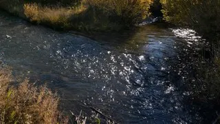 Владимирский бизнесмен ответственен за загрязнение реки Рпень