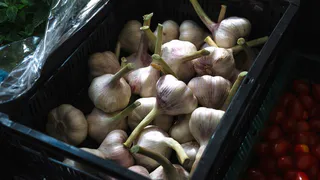 Когда сажать чеснок в октябре 2024 года по Лунному календарю: Чеснок будет крупным и здоровым