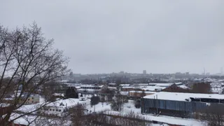 Жительница Рязани пожаловалась на нападение маньяка