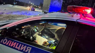 С 21 февраля начнут лишать прав на выезде из города: ГИБДД будет останавливать всех по вечерам