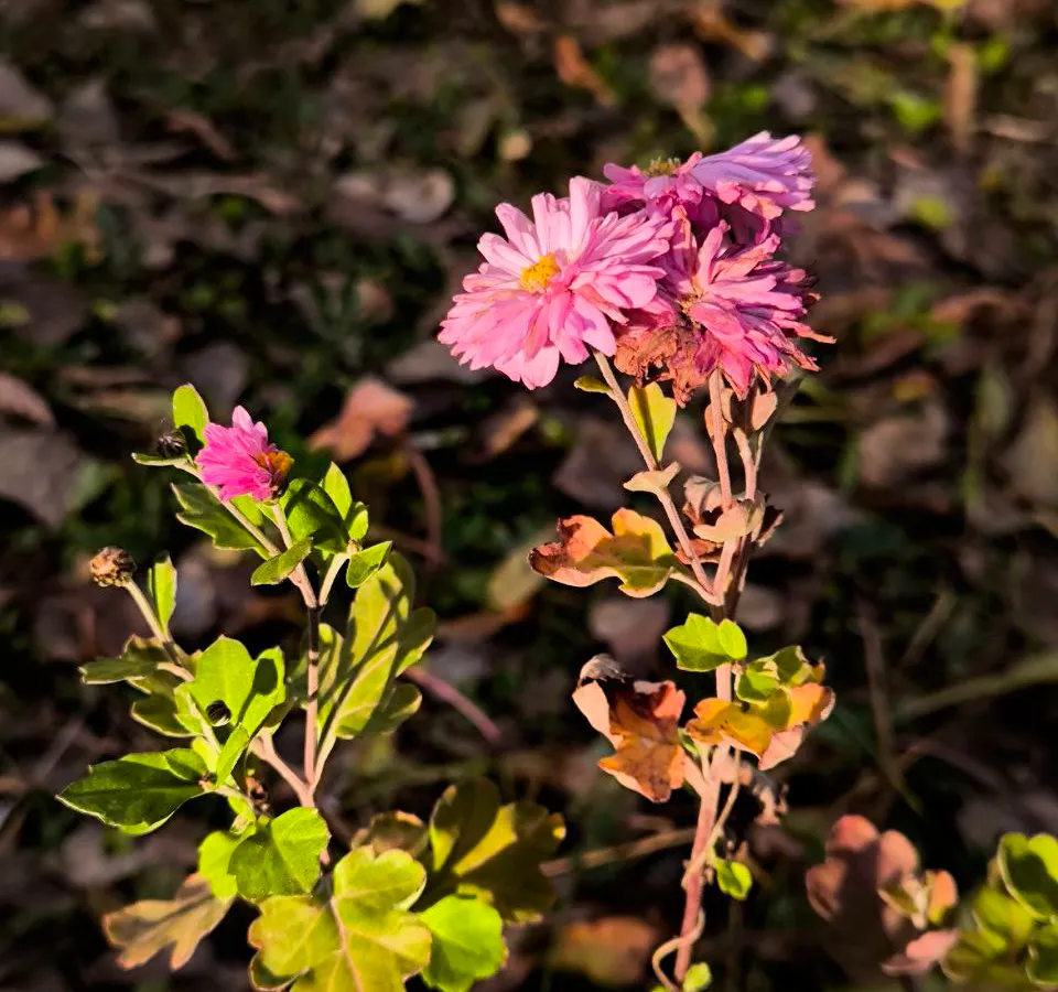 Климат Татарстана меняется: учёные фиксируют новые аномалии