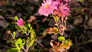 Климат Татарстана меняется: учёные фиксируют новые аномалии