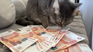 Предпенсионеры в Рязанской области могут досрочно выйти на пенсию