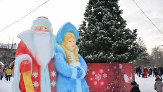 Стало известно, во сколько обойдется жителям Коми сруб новогодней елки