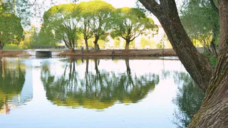 Синоптики обещают теплое лето