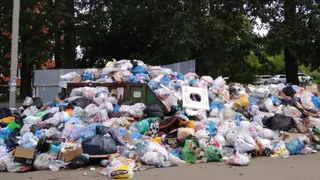 Вонь, грязь, мусор: Сорокина потребовала разобраться с контейнерными площадками в Рязани