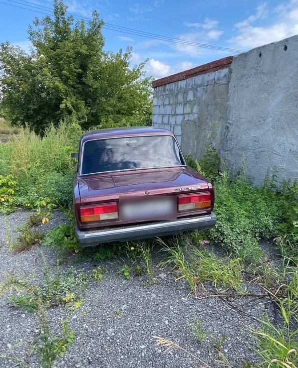 В Кыштыме полицейские задержали угонщика