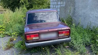 В Кыштыме полицейские задержали угонщика