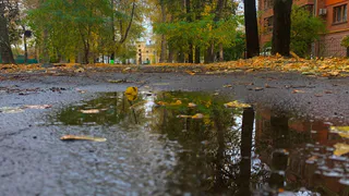 Погрелись и хватит: в Рязанскую область идут холода