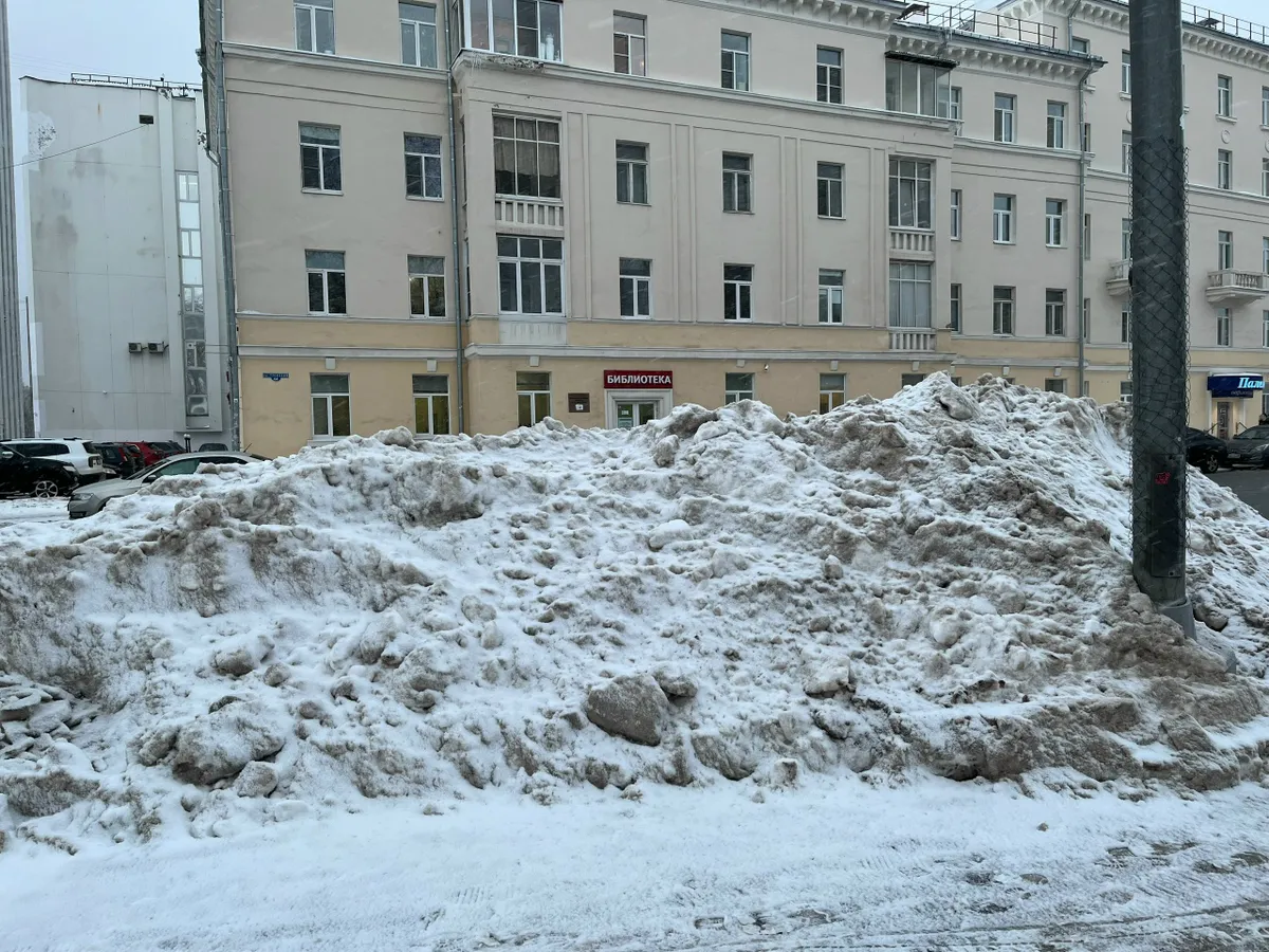 Прогноз погоды на 29 декабря: Чувашию ждет снежный и ветреный день