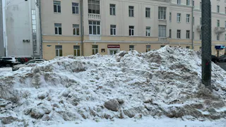 Прогноз погоды на 29 декабря: Чувашию ждет снежный и ветреный день