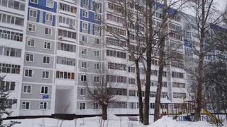 Опять 25: в Нижнекамске под сугробами остаются деревья