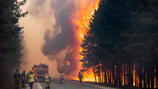 В Касимовском районе с 23 августа 2022 года установлен пятый класс пожарной опасности