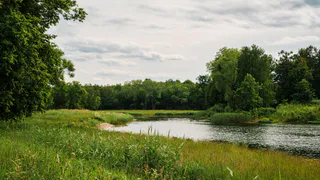 Русло реки Солотча в Рязанской области планируется очистить до 25 ноября