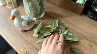 Бабушкин секрет из старого буфета: вот как лавровый лист творит чудеса с комнатными растениями жаль раньше не знала