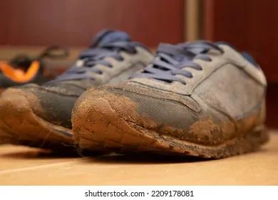 Убираем неприятный запах обуви чаем