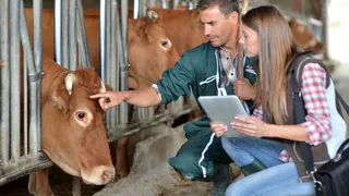 В Нижнекамском районе проведут сельхозперепись