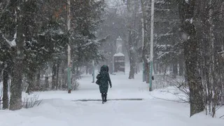 12 декабря в Пензенской области ожидается сильный ветер и холод