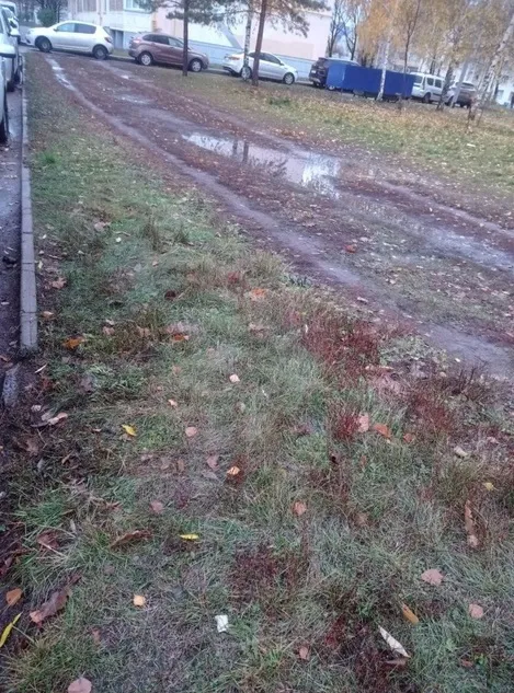 «Как долго ещё детям ходить в школу по грязи или по автодороге?»