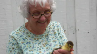 «Платить больше не придется». Новая льгота вводится с 25 сентября для всех пенсионеров