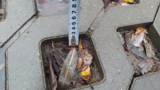 "Народный контроль": рязанцы просят подрядчика досыпать грунт на новой экопарковке